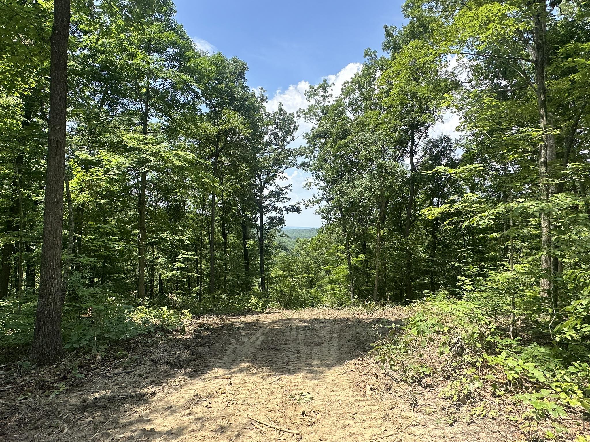Wooded property grounds at Big Timber Resort near Natural Bridge State Park Kentucky